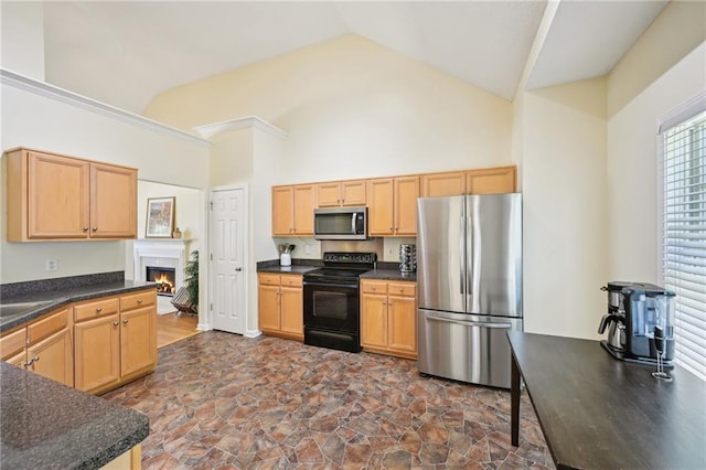 3705 Tate Pl, Austell, GA 30106 - kitchen featuring appliances with stainless steel finishes, dark countertops, high vaulted ceiling, dark stone finish floors, and a warm lit fireplace