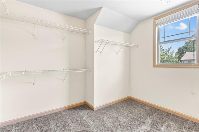 1492 Station Ridge Ct, Lawrenceville, GA 30045 - spacious closet with carpet flooring and lofted ceiling