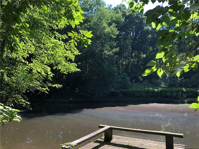 5015 Wright Bridge Rd, Cumming, GA 30028 - view of dock