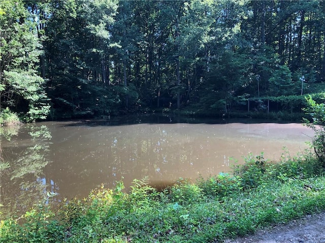 5015 Wright Bridge Rd, Cumming, GA 30028 - water view with a heavily wooded area