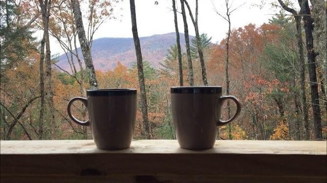 exterior details with a mountain view