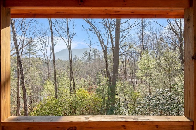 exterior details featuring a mountain view