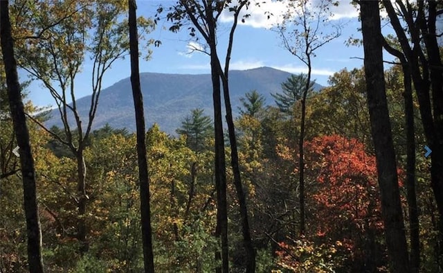 property view of mountains