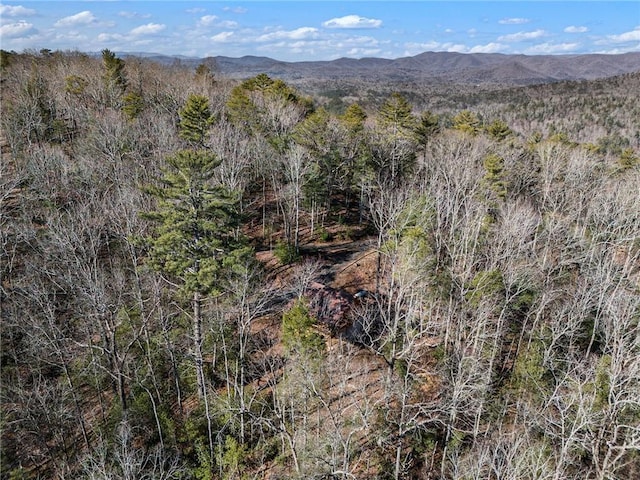 view of mountain feature