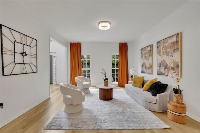 living room with light hardwood / wood-style floors