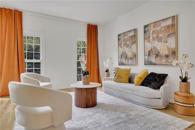 living room featuring light hardwood / wood-style floors and crown molding