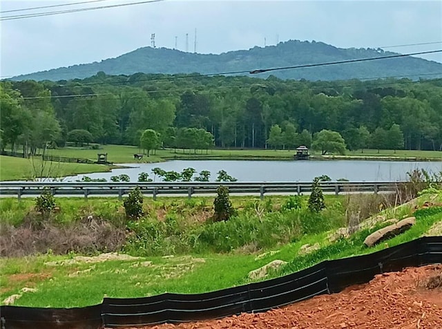 view of home's community with a water and mountain view