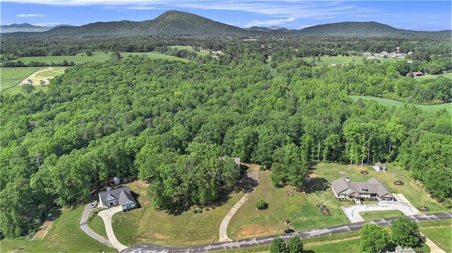 aerial view of property's location featuring a forest and a mountain backdrop