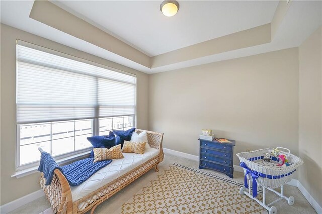 living area featuring light carpet and a raised ceiling