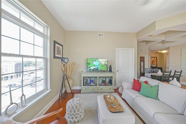 living room with wood-type flooring