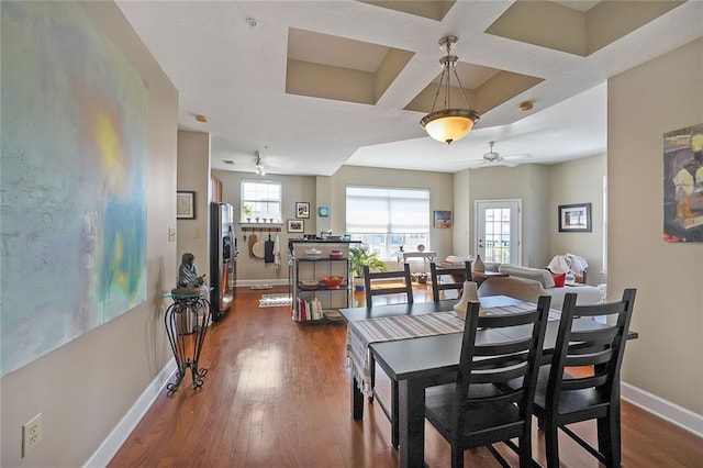 dining space featuring ceiling fan and dark hardwood / wood-style floors