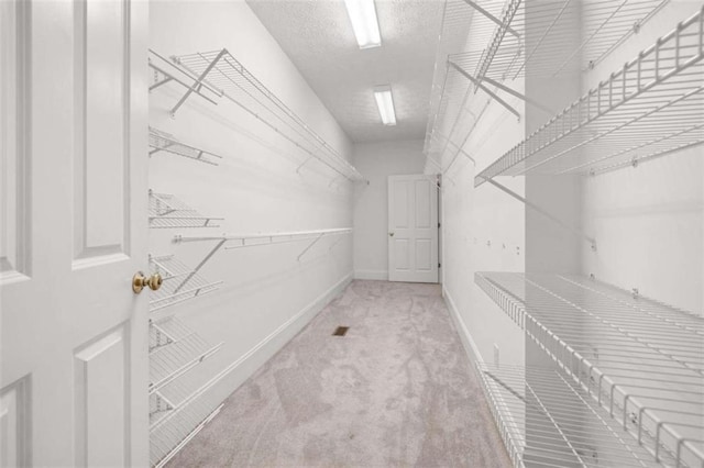 walk in closet featuring carpet flooring