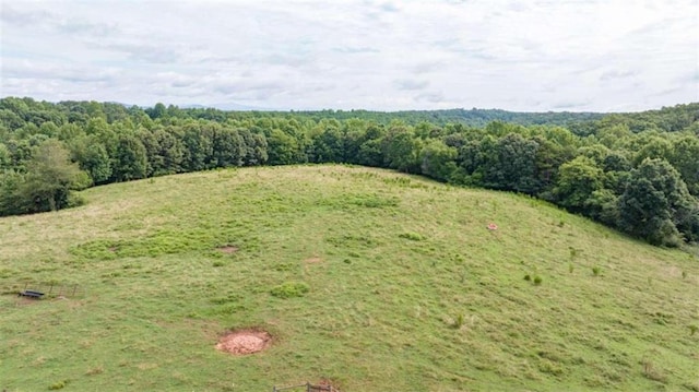 drone / aerial view with a rural view