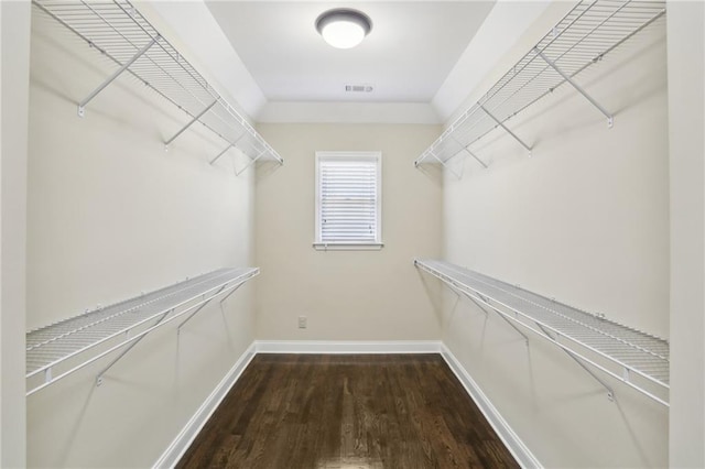 spacious closet with hardwood / wood-style floors