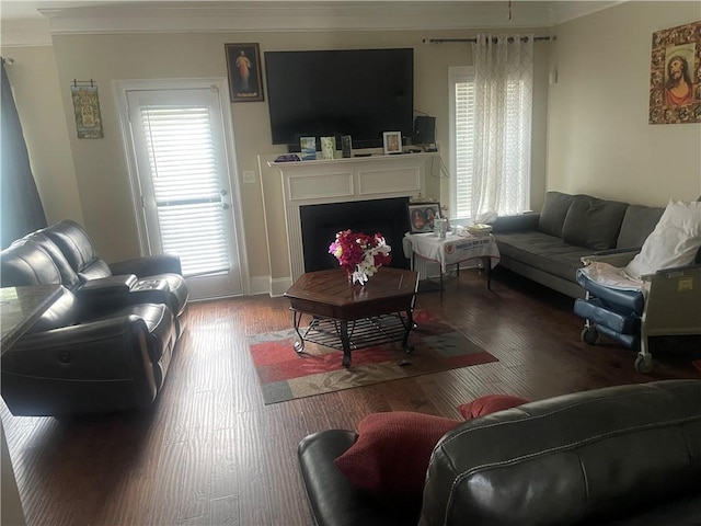 living room featuring hardwood / wood-style floors and crown molding