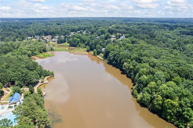 2500 Ashbourne Dr, Lawrenceville, GA 30043 - bird's eye view of a nearby body of water and a forest
