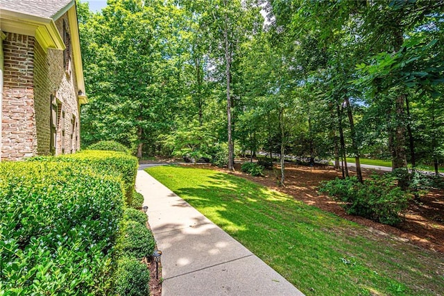 6369 Timber Creek Trl, Dahlonega, GA 30533 - view of green lawn