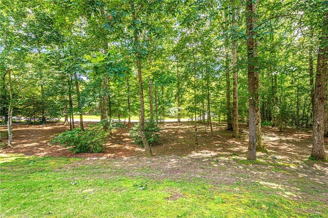 6369 Timber Creek Trl, Dahlonega, GA 30533 - view of nature