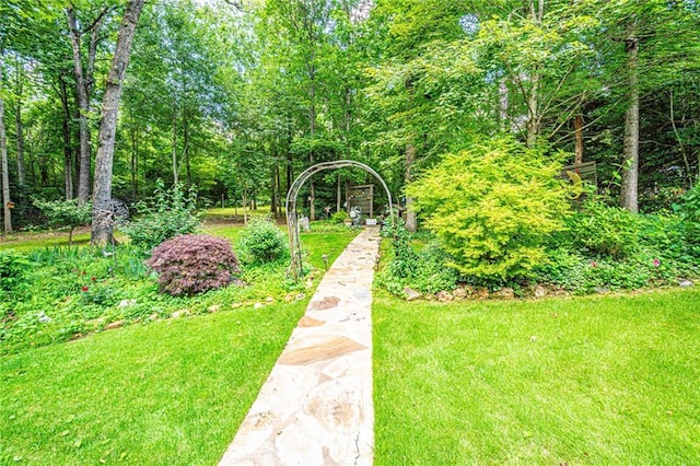 6369 Timber Creek Trl, Dahlonega, GA 30533 - view of green lawn