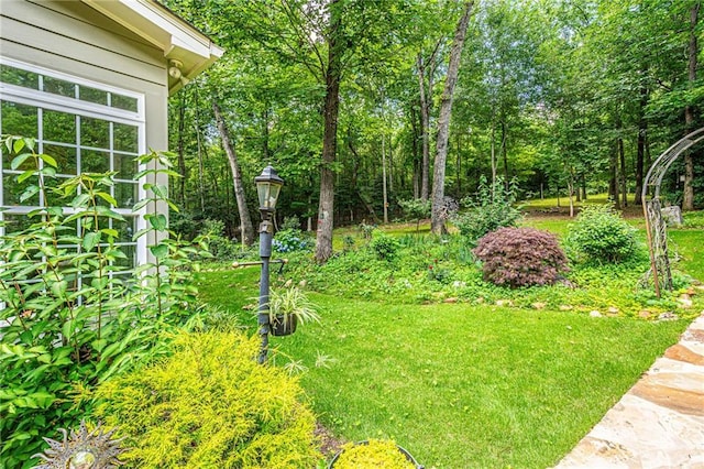 6369 Timber Creek Trl, Dahlonega, GA 30533 - view of grassy yard