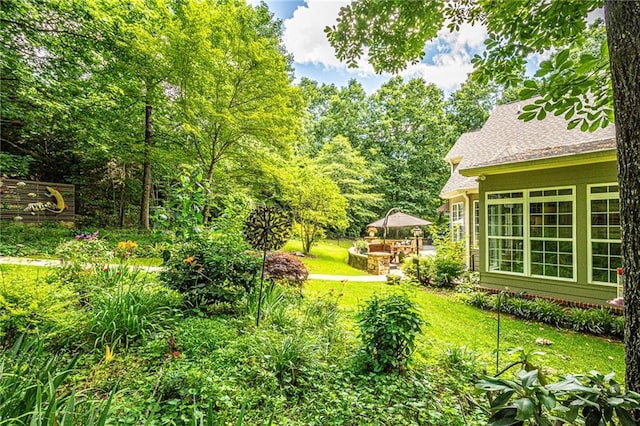 6369 Timber Creek Trl, Dahlonega, GA 30533 - view of green lawn