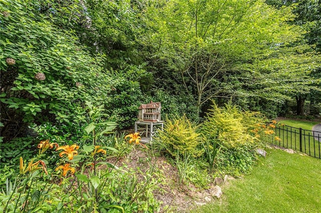 6369 Timber Creek Trl, Dahlonega, GA 30533 - view of yard