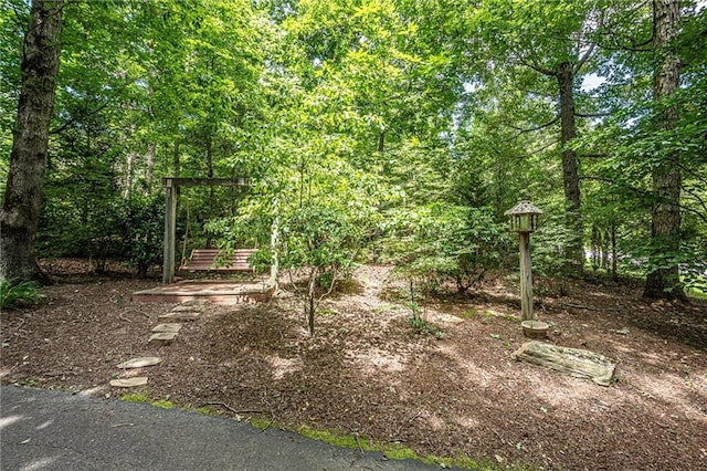 6369 Timber Creek Trl, Dahlonega, GA 30533 - view of yard