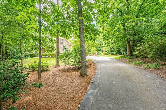 6369 Timber Creek Trl, Dahlonega, GA 30533 - view of street
