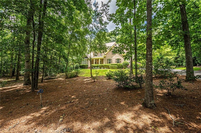 6369 Timber Creek Trl, Dahlonega, GA 30533 - view of yard