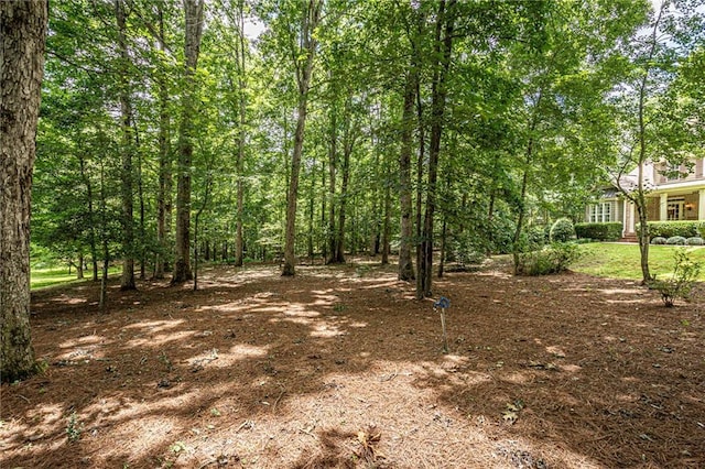 6369 Timber Creek Trl, Dahlonega, GA 30533 - view of nature