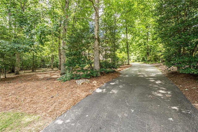 6369 Timber Creek Trl, Dahlonega, GA 30533 - view of street featuring a forest view