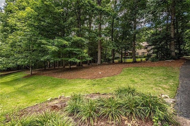 6369 Timber Creek Trl, Dahlonega, GA 30533 - view of grassy yard