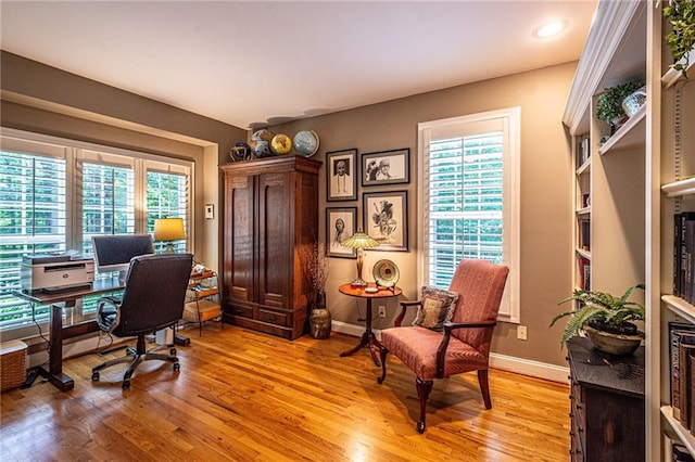 6369 Timber Creek Trl, Dahlonega, GA 30533 - office featuring healthy amount of natural light and light wood finished floors