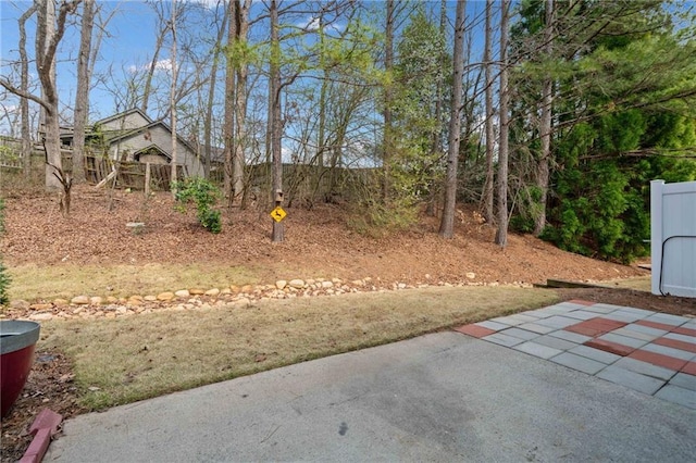 view of yard featuring a patio area