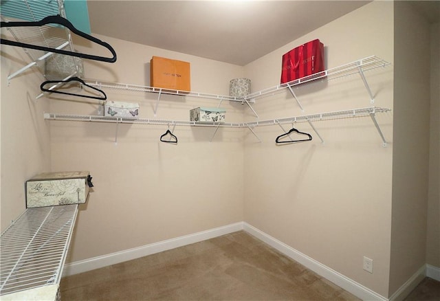spacious closet featuring carpet flooring