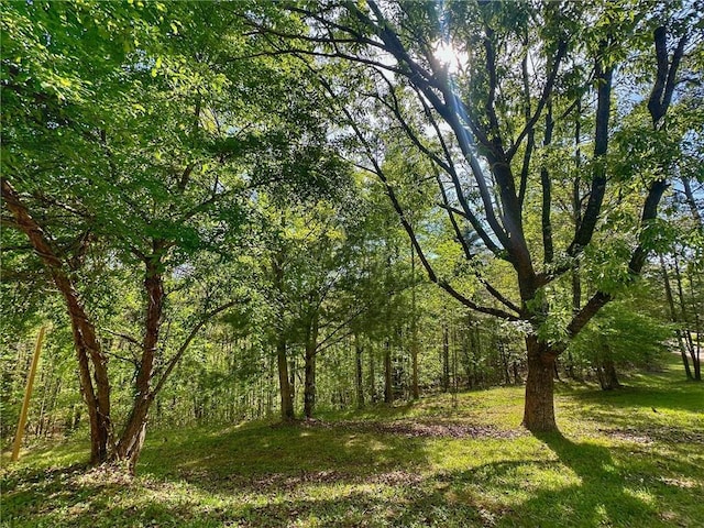 view of landscape with a view of trees