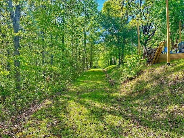 view of local wilderness