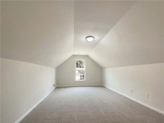 additional living space with carpet and lofted ceiling