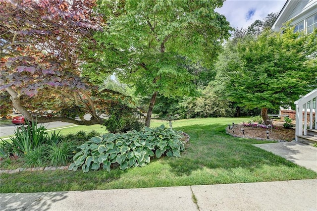 4184 Wyndham Park Way, Buford, GA 30519 - view of grassy yard