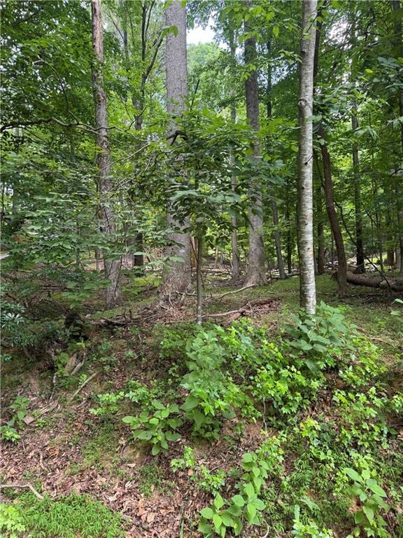 832 N Duffer Dr, Jasper GA, 30143 land for sale