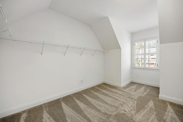 walk in closet featuring carpet and vaulted ceiling