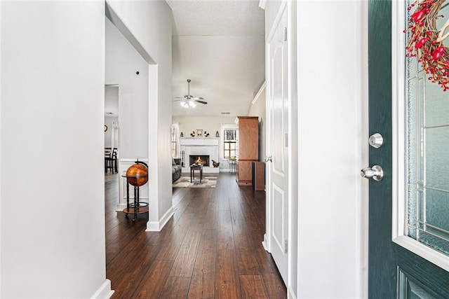 entrance foyer featuring ceiling fan, lofted ceiling, baseboards, a lit fireplace, and dark wood finished floors