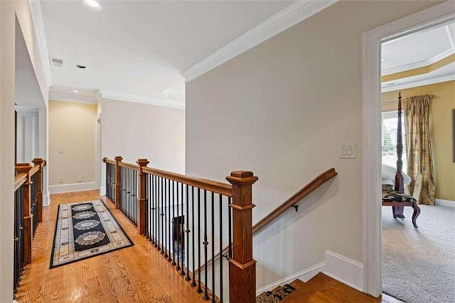 hallway featuring crown molding and hardwood / wood-style floors