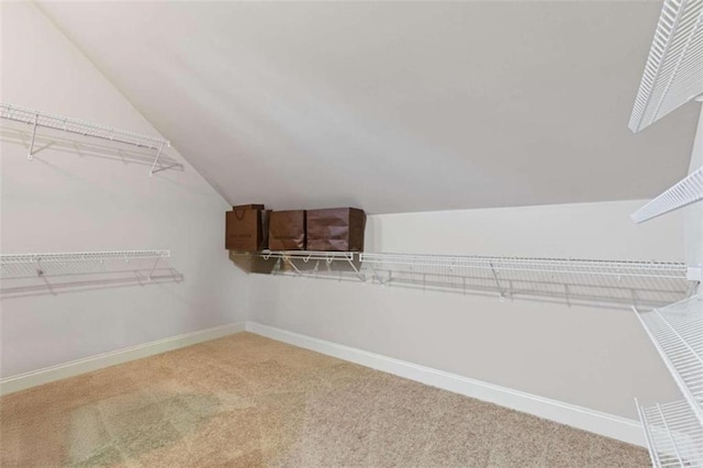 spacious closet with vaulted ceiling and carpet floors