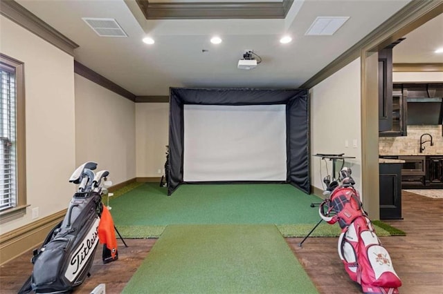 recreation room featuring crown molding, dark hardwood / wood-style flooring, sink, and golf simulator