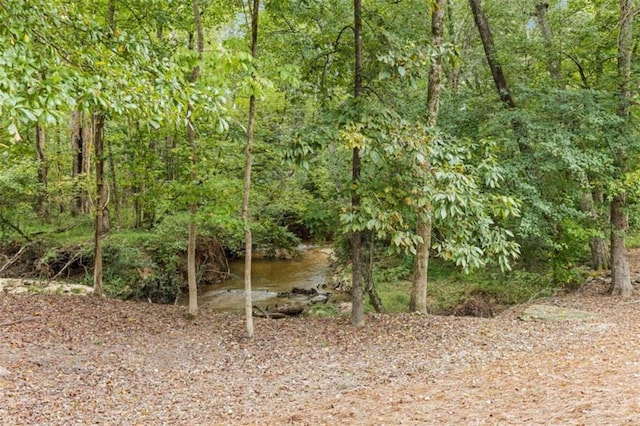 view of local wilderness featuring a water view