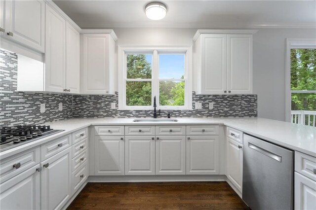 kitchen with decorative backsplash, stainless steel appliances, crown molding, and a sink