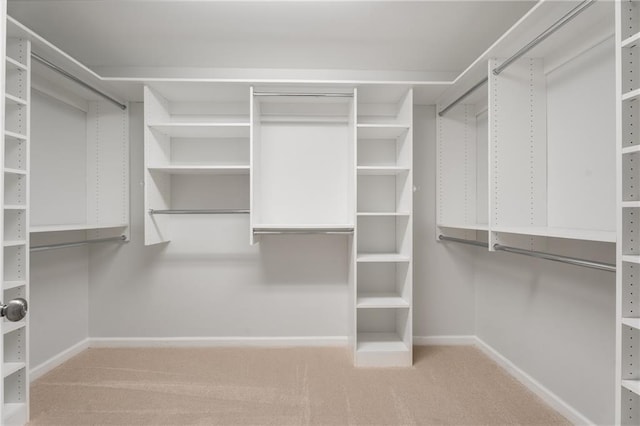 spacious closet with carpet