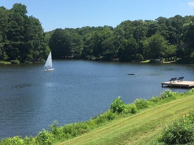 water view with a forest view