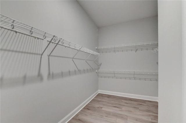 walk in closet with hardwood / wood-style flooring